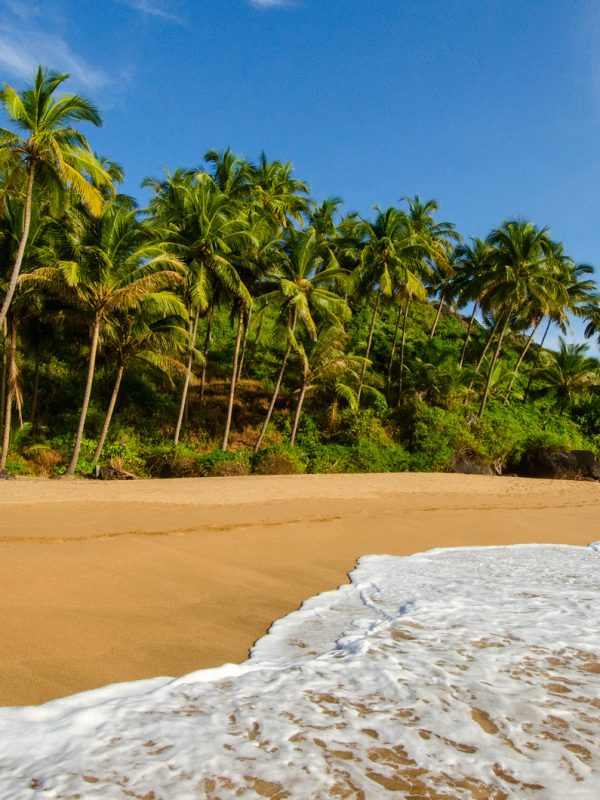 beautiful landscape beach in Goa in India